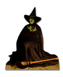 Aaa_wickedwitch