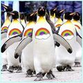 Gay-penguins-1